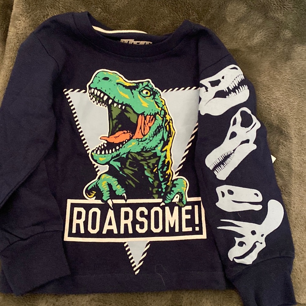 2 Dinosaur T-Shirts Size 2 T. NWT